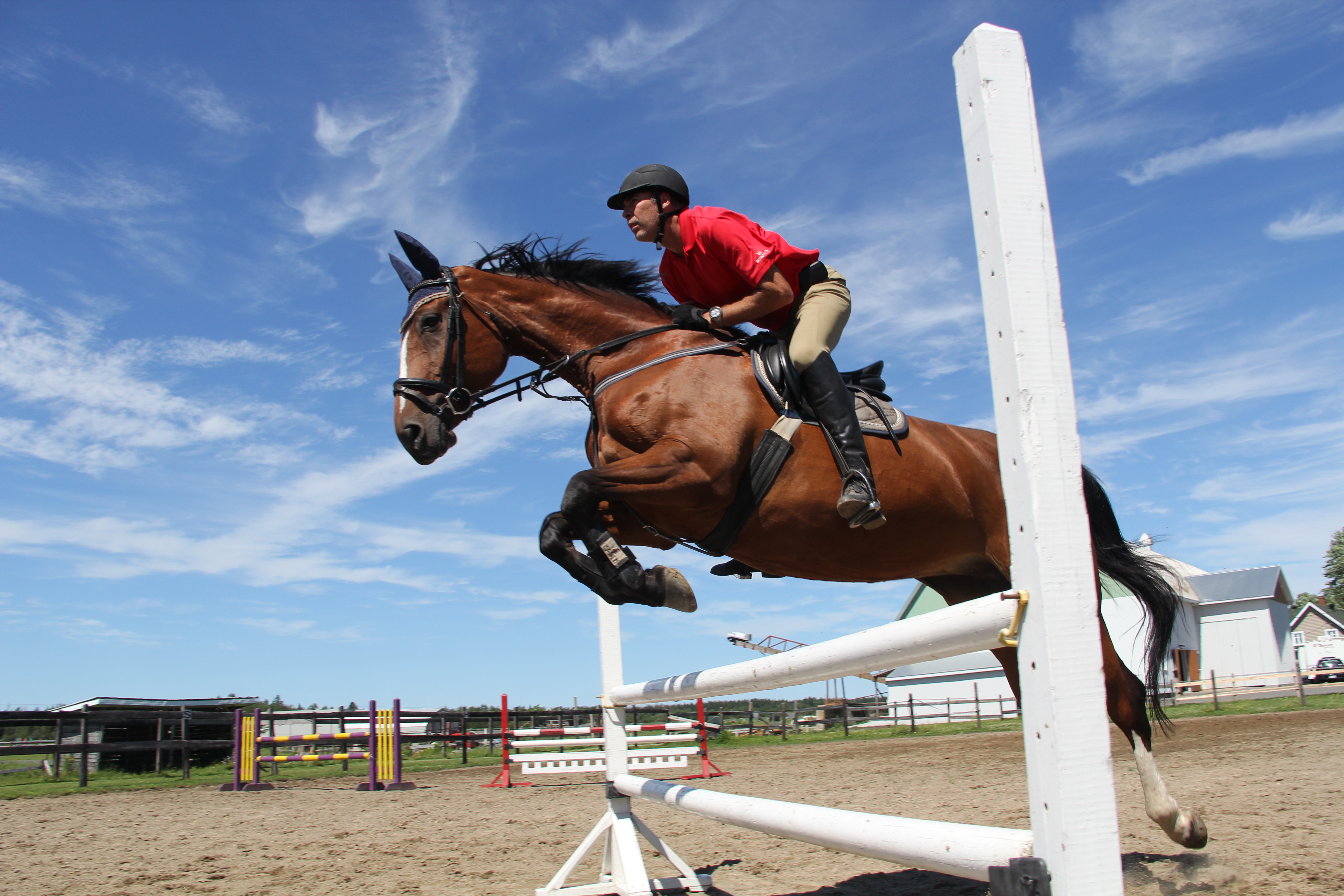 15994891 10154029739571415 4778350498146251529 o